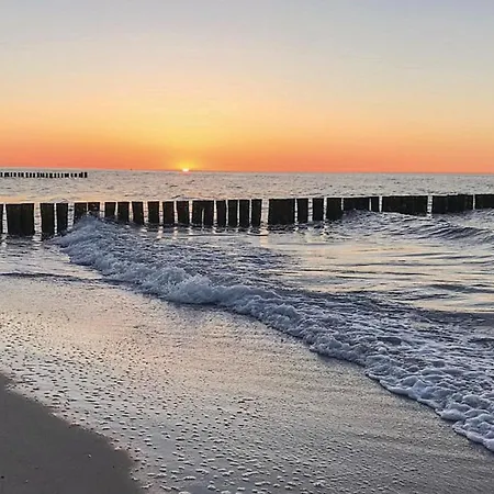 Strandhafer Gollwitz