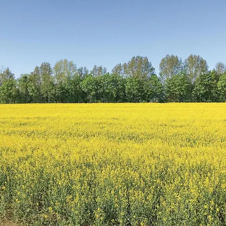 Апартаменты Strandhafer *