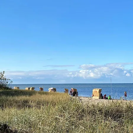 Strandhafer